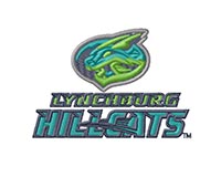 Sample embroidery design