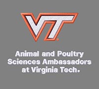 Sample embroidery design