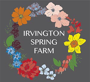 Sample screenprinting design