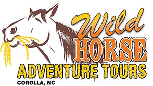 Sample screenprinting design