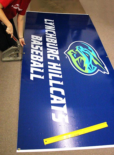 Lynchburg Hillcats banner